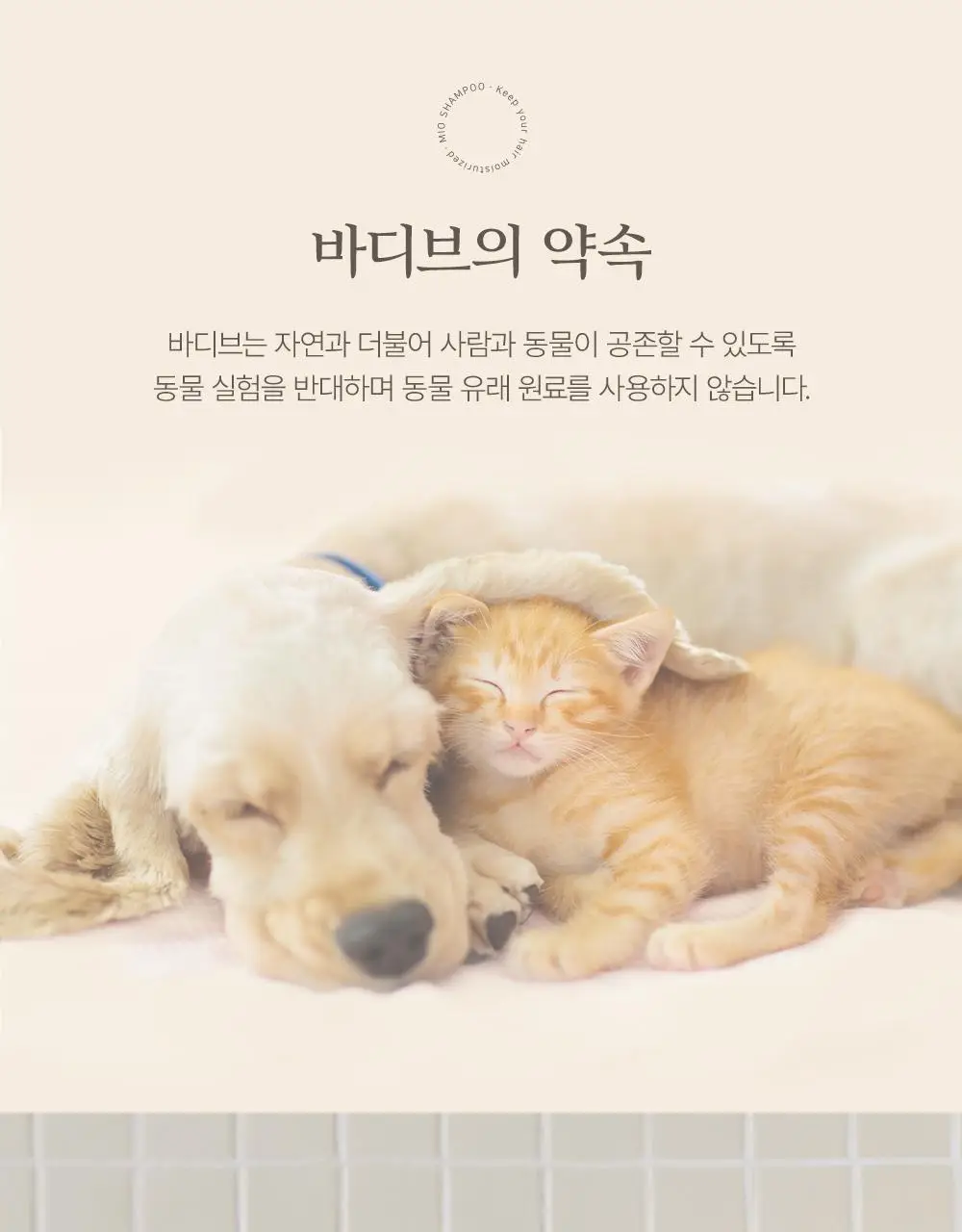 [대용량] 바디브 약산성 바디워시 [여드름기능성/등드름] 1000ml 3종 택1 상세페이지 24